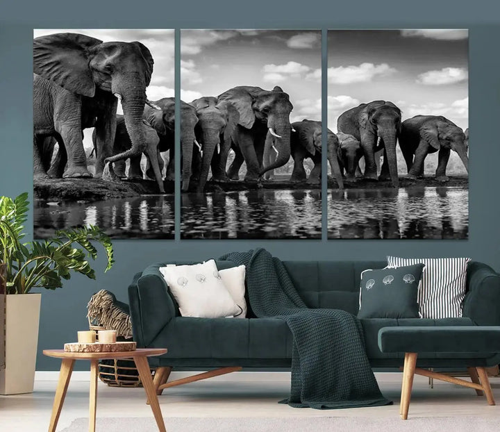 A stunning "Wall Art Animal Canvas Print" featuring a black and white photo of a herd of elephants drinking water is elegantly displayed, gallery wrapped on museum-quality canvas.