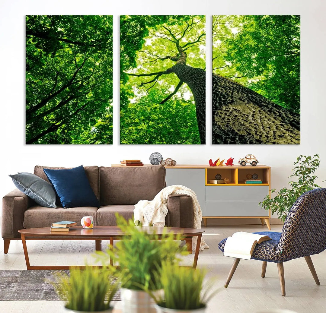 Wall Art Landscape Canvas Print: A green tree view captured from the ground.