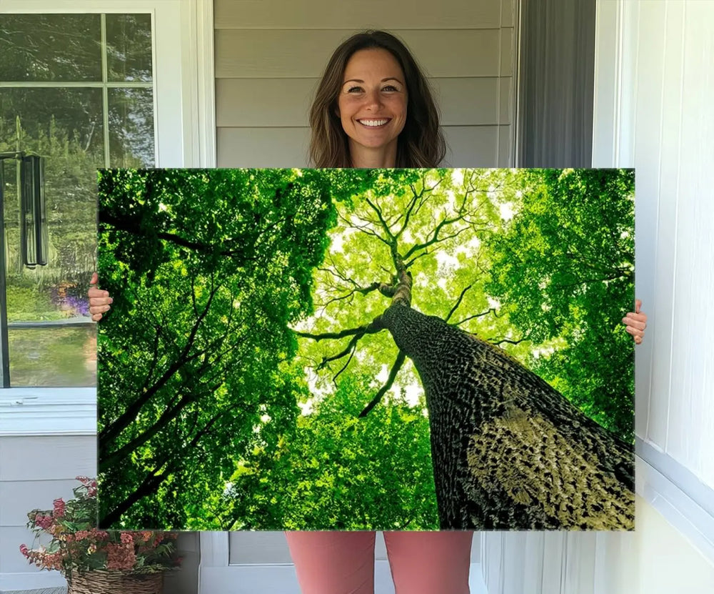 Wall Art Landscape Canvas Print: A green tree view captured from the ground.