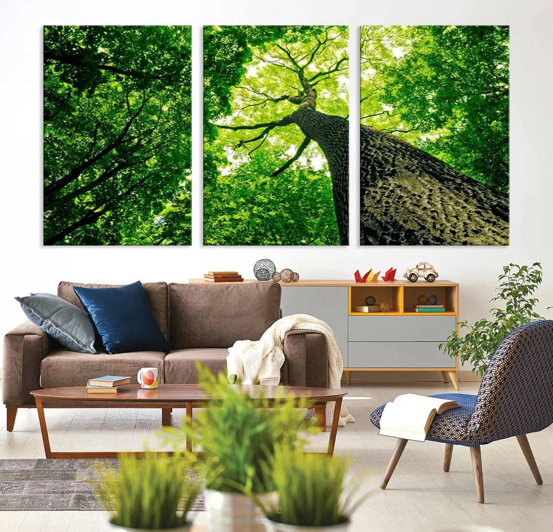 Wall Art Landscape Canvas Print Green Tree View Taken from Ground Through the Top