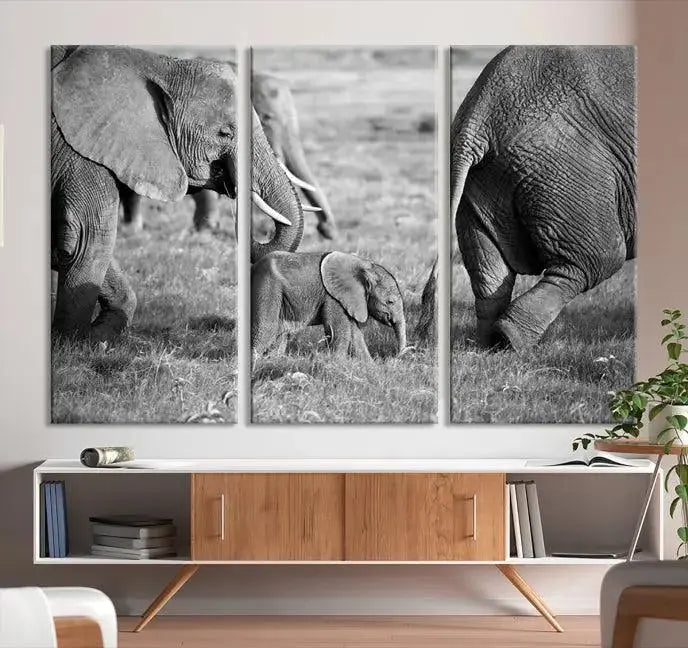 Wild Elephant Wall Art Canvas Print 