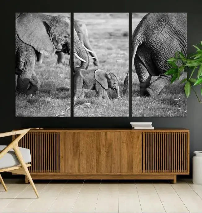 Wild Elephant Wall Art Canvas Print 