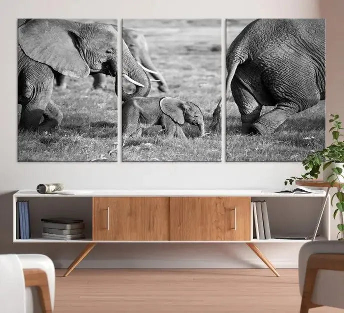 Wild Elephant Wall Art Canvas Print 