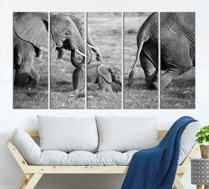 Wild Elephant Wall Art Canvas Print 