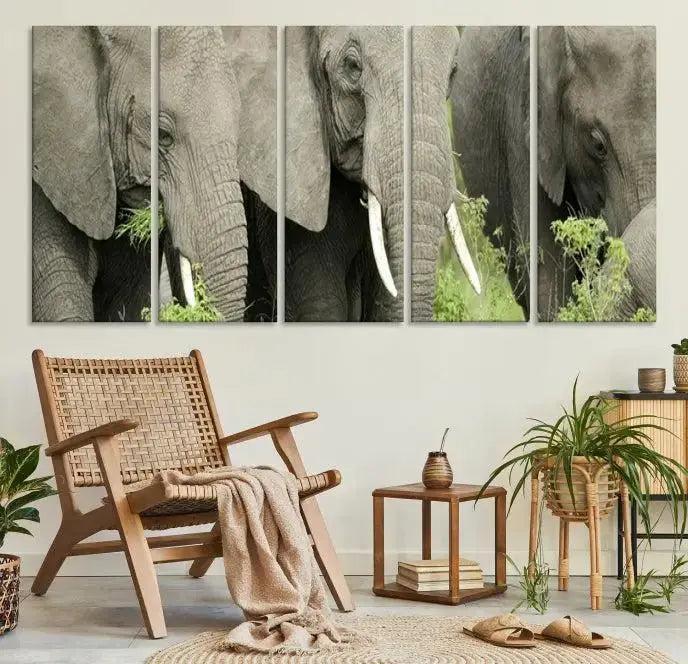 Wild Elephant Wall Art Canvas Print