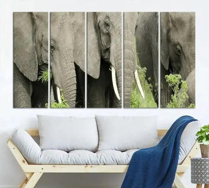 Wild Elephant Wall Art Canvas Print