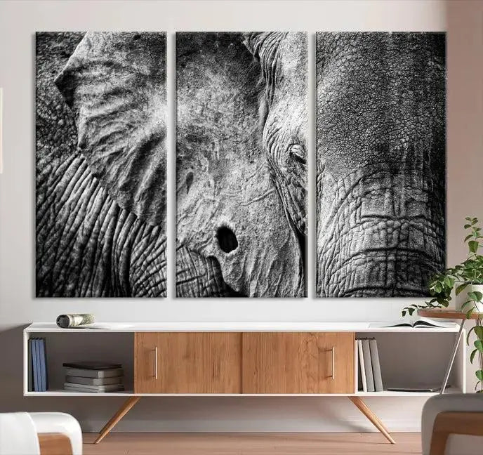 The striking Wild Old Elephant Wall Art Canvas Print on museum-quality canvas adorns the room.