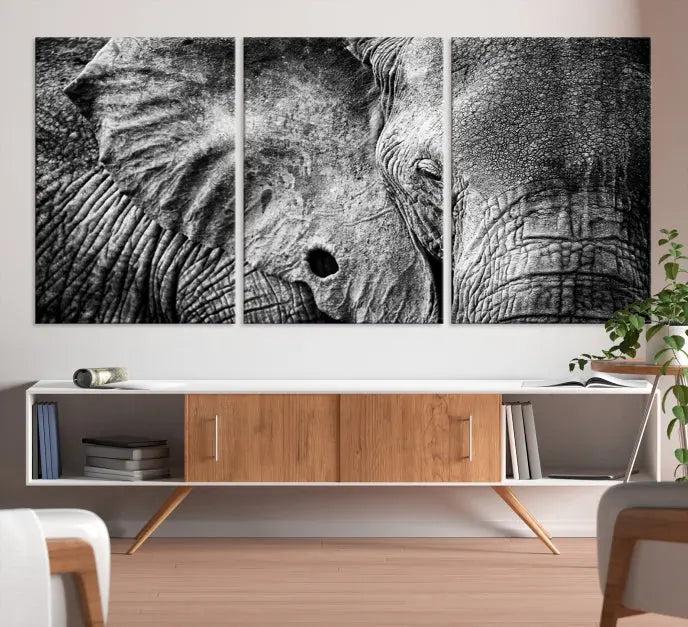 The striking Wild Old Elephant Wall Art Canvas Print on museum-quality canvas adorns the room.