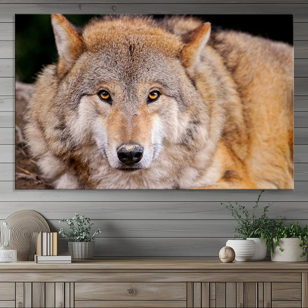 A Wild Wolf Wall Art Canvas Print adorns the wall.