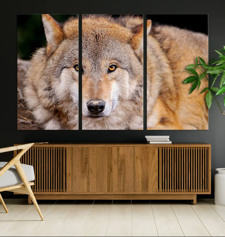 A Wild Wolf Wall Art Canvas Print adorns the wall.