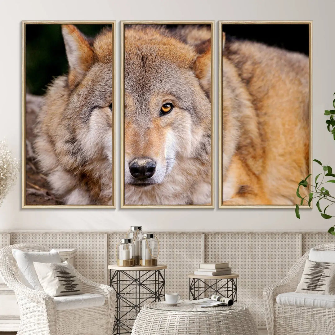 A Wild Wolf Wall Art Canvas Print adorns the wall.