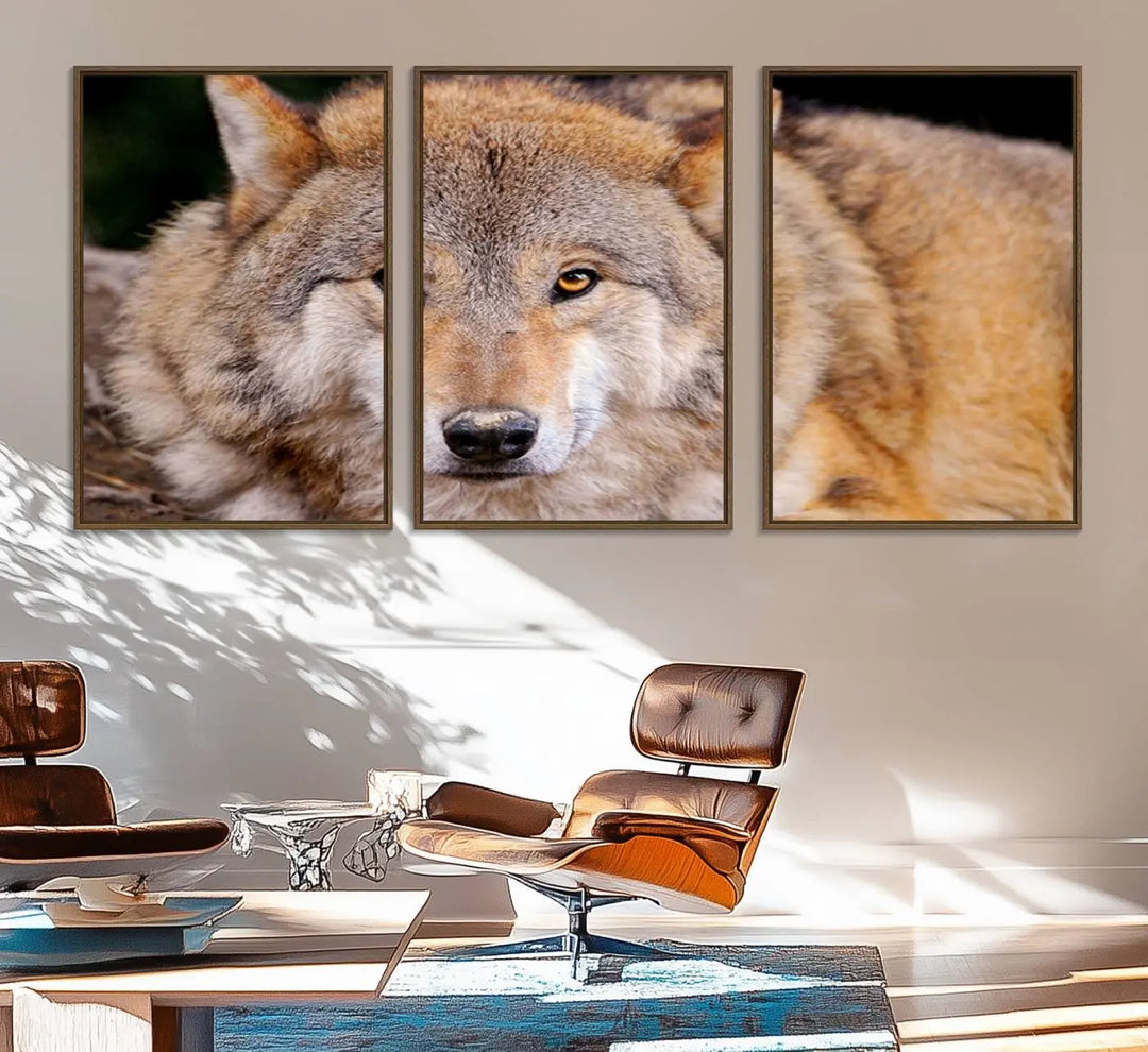 A Wild Wolf Wall Art Canvas Print adorns the wall.