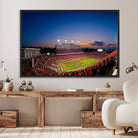 76202-MGV-FC-36X24_Black-Wolfpack Football Team Wall Art Print - Raleigh Carter-Finley Stadium Wall Art Canvas Print