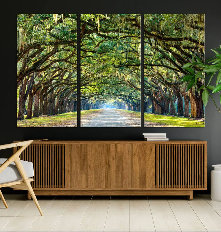 The "Wormsloe State Plantation Driveway Wall Art Canvas Print," crafted on museum-quality canvas with high-resolution printing, showcases a tree-lined path in a modern room.