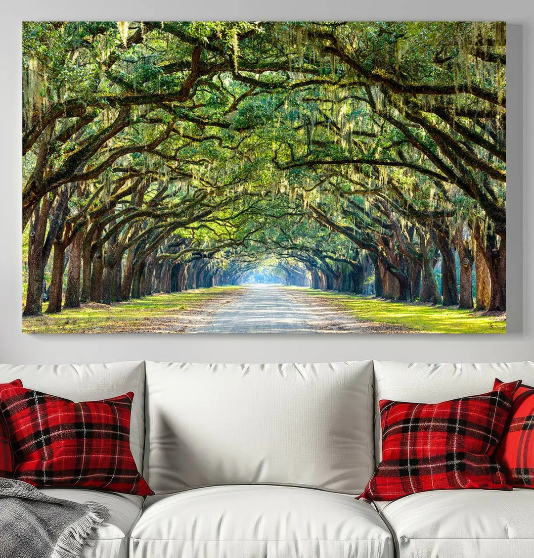 The "Wormsloe State Plantation Driveway Wall Art Canvas Print," crafted on museum-quality canvas with high-resolution printing, showcases a tree-lined path in a modern room.