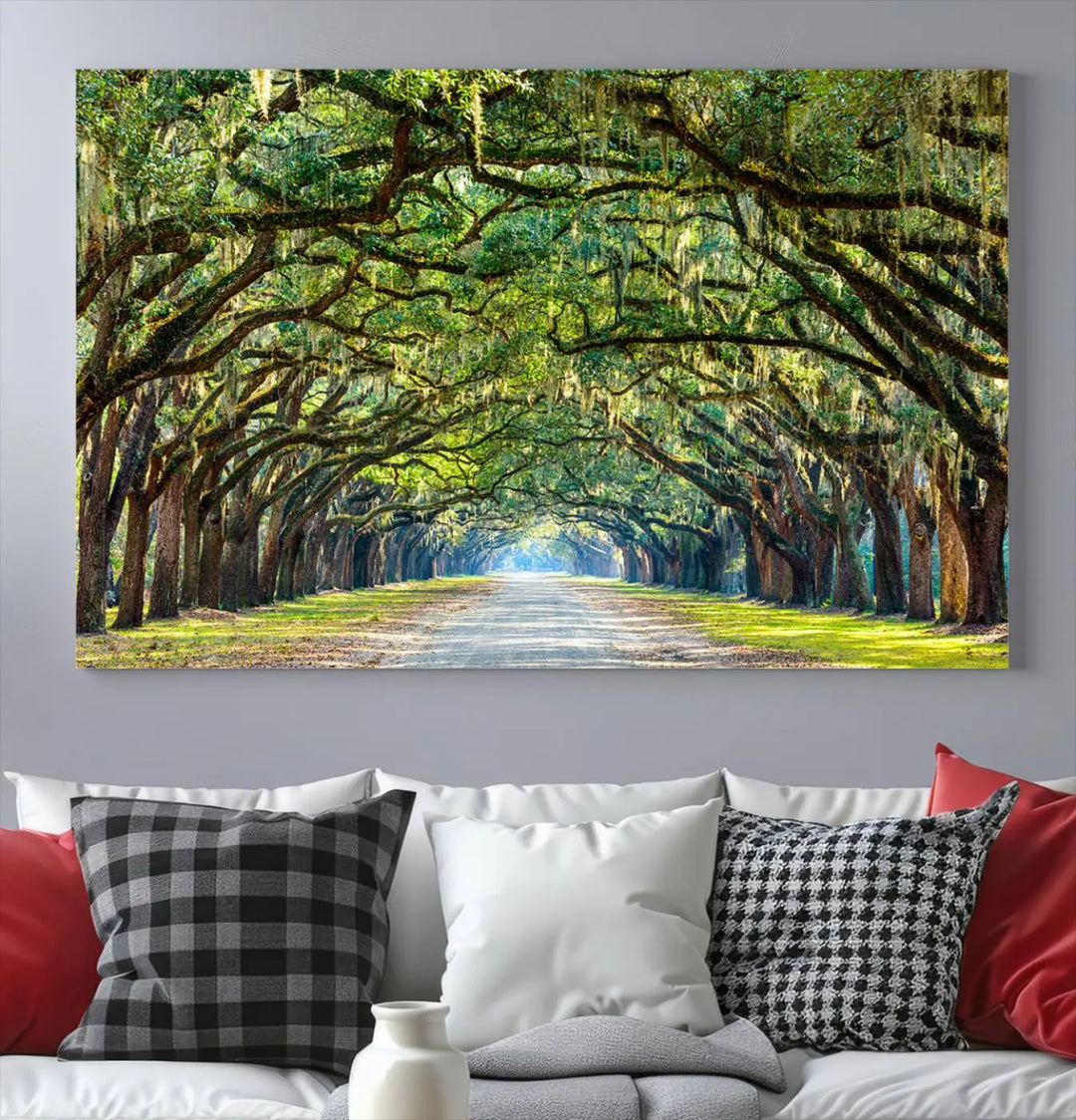 The "Wormsloe State Plantation Driveway Wall Art Canvas Print," crafted on museum-quality canvas with high-resolution printing, showcases a tree-lined path in a modern room.