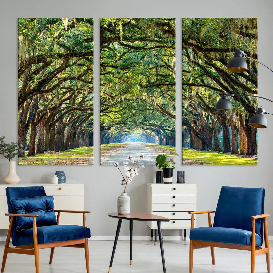 The "Wormsloe State Plantation Driveway Wall Art Canvas Print," crafted on museum-quality canvas with high-resolution printing, showcases a tree-lined path in a modern room.