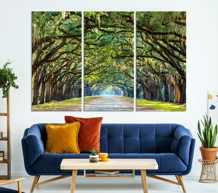 The "Wormsloe State Plantation Driveway Wall Art Canvas Print," crafted on museum-quality canvas with high-resolution printing, showcases a tree-lined path in a modern room.