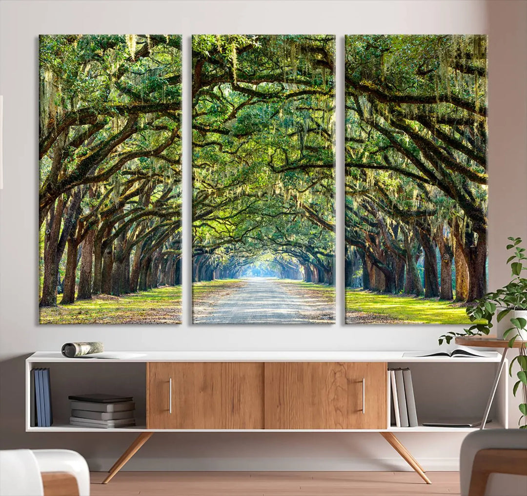 The "Wormsloe State Plantation Driveway Wall Art Canvas Print," crafted on museum-quality canvas with high-resolution printing, showcases a tree-lined path in a modern room.