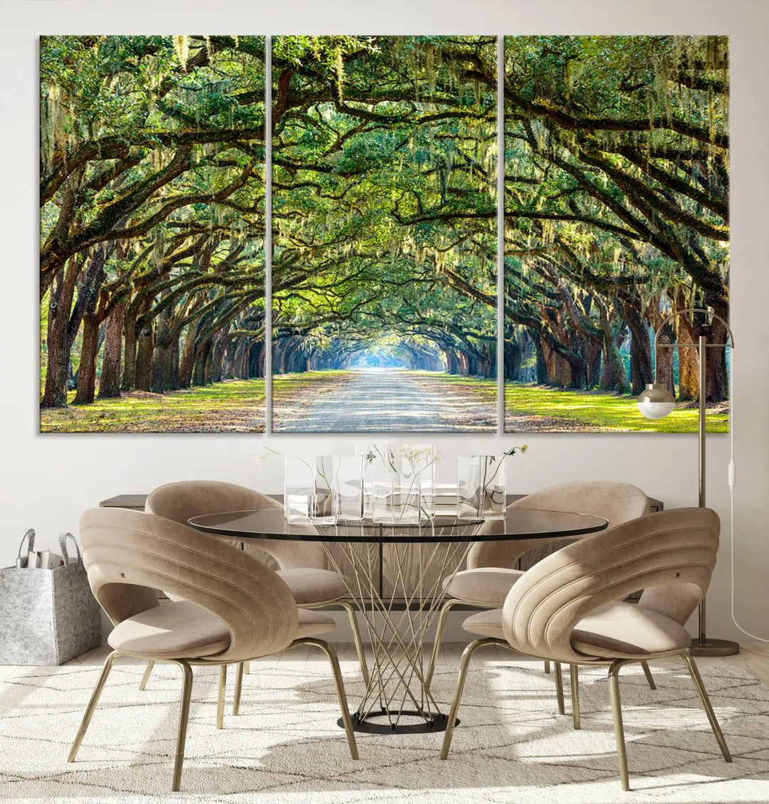 The "Wormsloe State Plantation Driveway Wall Art Canvas Print," crafted on museum-quality canvas with high-resolution printing, showcases a tree-lined path in a modern room.