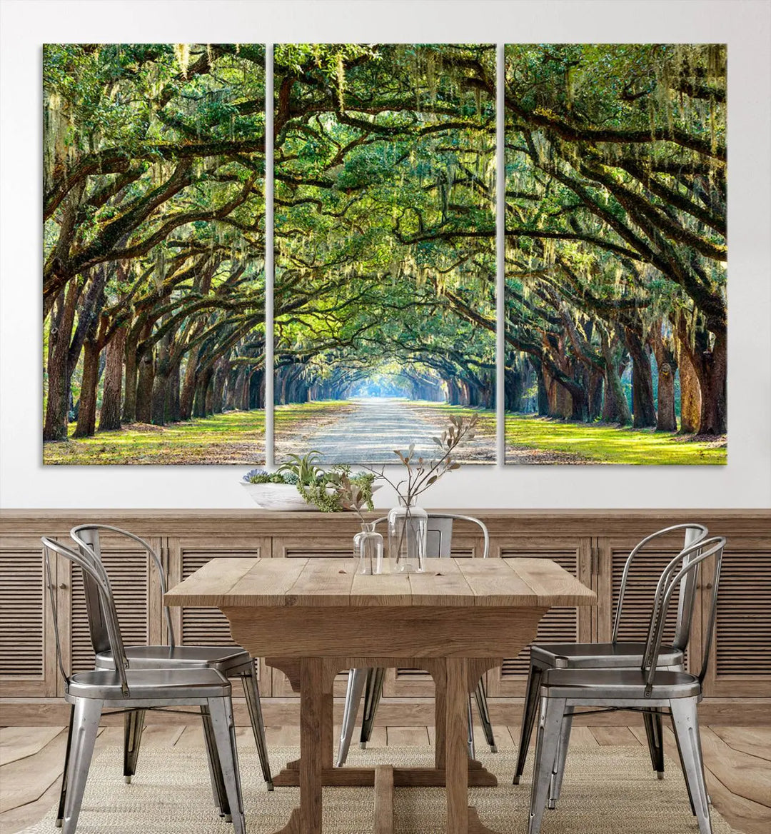 The "Wormsloe State Plantation Driveway Wall Art Canvas Print," crafted on museum-quality canvas with high-resolution printing, showcases a tree-lined path in a modern room.