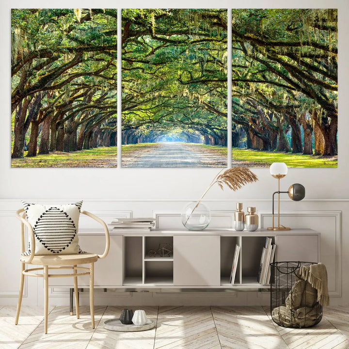 The "Wormsloe State Plantation Driveway Wall Art Canvas Print," crafted on museum-quality canvas with high-resolution printing, showcases a tree-lined path in a modern room.