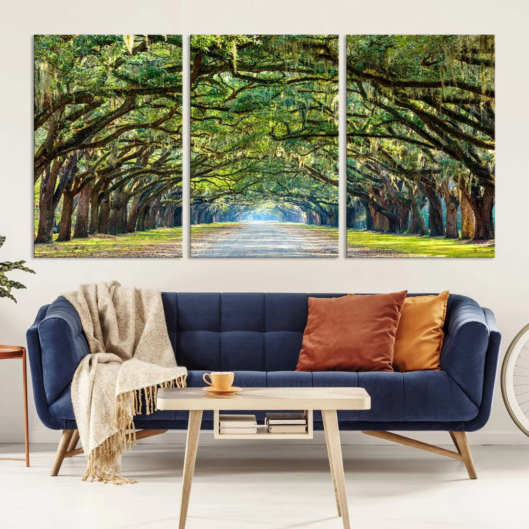 The "Wormsloe State Plantation Driveway Wall Art Canvas Print," crafted on museum-quality canvas with high-resolution printing, showcases a tree-lined path in a modern room.