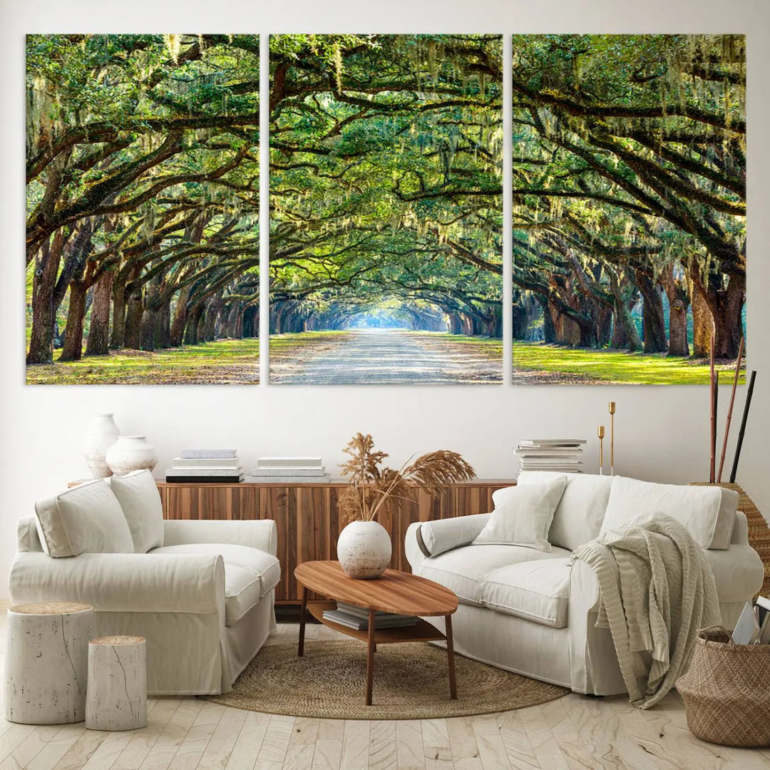 The "Wormsloe State Plantation Driveway Wall Art Canvas Print," crafted on museum-quality canvas with high-resolution printing, showcases a tree-lined path in a modern room.