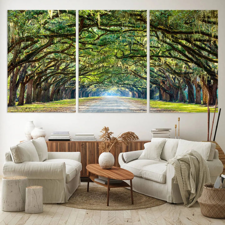 The "Wormsloe State Plantation Driveway Wall Art Canvas Print," crafted on museum-quality canvas with high-resolution printing, showcases a tree-lined path in a modern room.