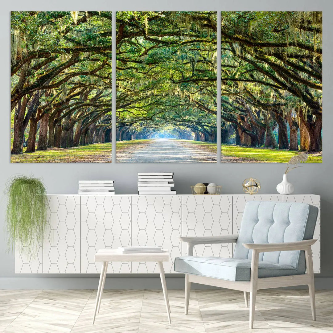 The "Wormsloe State Plantation Driveway Wall Art Canvas Print," crafted on museum-quality canvas with high-resolution printing, showcases a tree-lined path in a modern room.