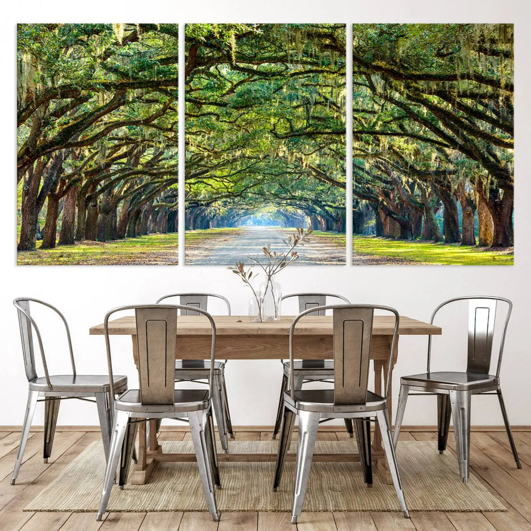 The "Wormsloe State Plantation Driveway Wall Art Canvas Print," crafted on museum-quality canvas with high-resolution printing, showcases a tree-lined path in a modern room.