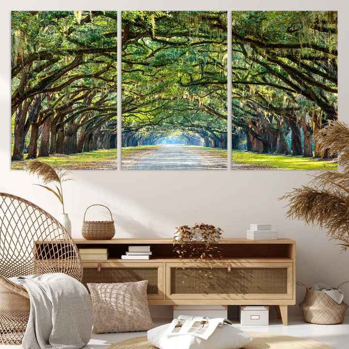 The "Wormsloe State Plantation Driveway Wall Art Canvas Print," crafted on museum-quality canvas with high-resolution printing, showcases a tree-lined path in a modern room.