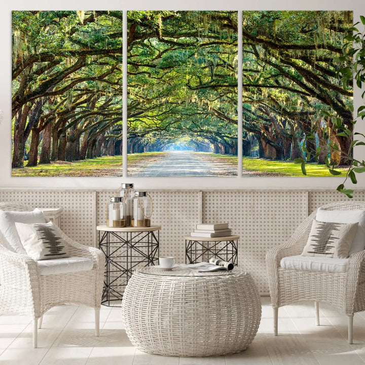 The "Wormsloe State Plantation Driveway Wall Art Canvas Print," crafted on museum-quality canvas with high-resolution printing, showcases a tree-lined path in a modern room.