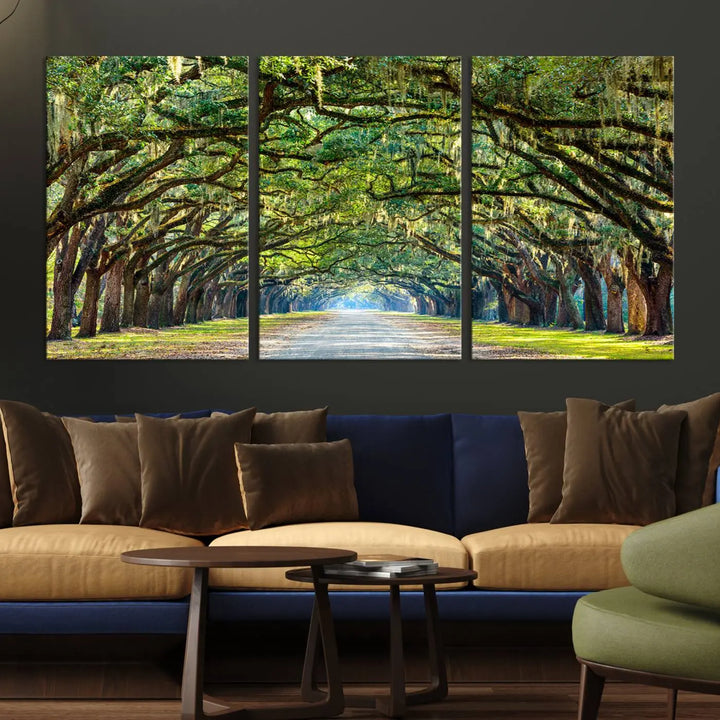 The "Wormsloe State Plantation Driveway Wall Art Canvas Print," crafted on museum-quality canvas with high-resolution printing, showcases a tree-lined path in a modern room.