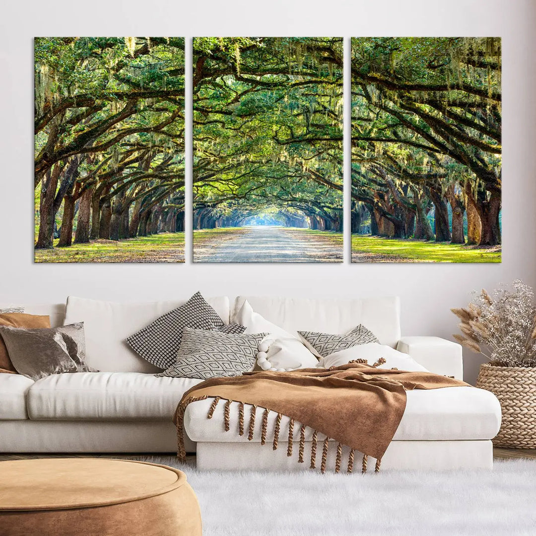 The "Wormsloe State Plantation Driveway Wall Art Canvas Print," crafted on museum-quality canvas with high-resolution printing, showcases a tree-lined path in a modern room.