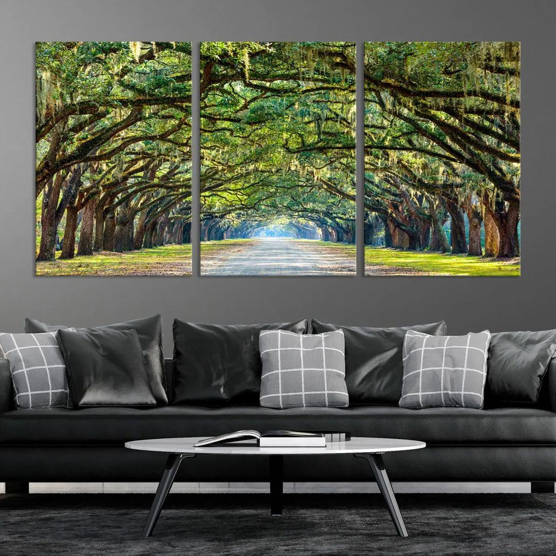 The "Wormsloe State Plantation Driveway Wall Art Canvas Print," crafted on museum-quality canvas with high-resolution printing, showcases a tree-lined path in a modern room.