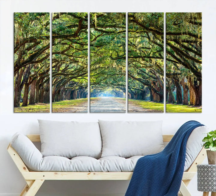 The "Wormsloe State Plantation Driveway Wall Art Canvas Print," crafted on museum-quality canvas with high-resolution printing, showcases a tree-lined path in a modern room.