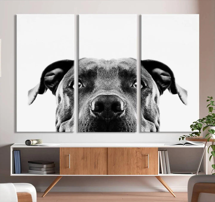 The "Black and White Pit Bull Dog Wall Art Canvas Print" elegantly adorns the living room, infusing character and charm into the contemporary setting. This captivating piece is perfect for dog lovers.