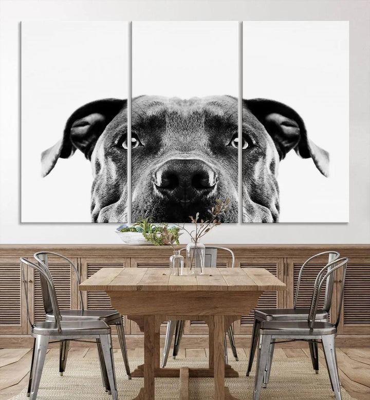 The "Black and White Pit Bull Dog Wall Art Canvas Print" elegantly adorns the living room, infusing character and charm into the contemporary setting. This captivating piece is perfect for dog lovers.