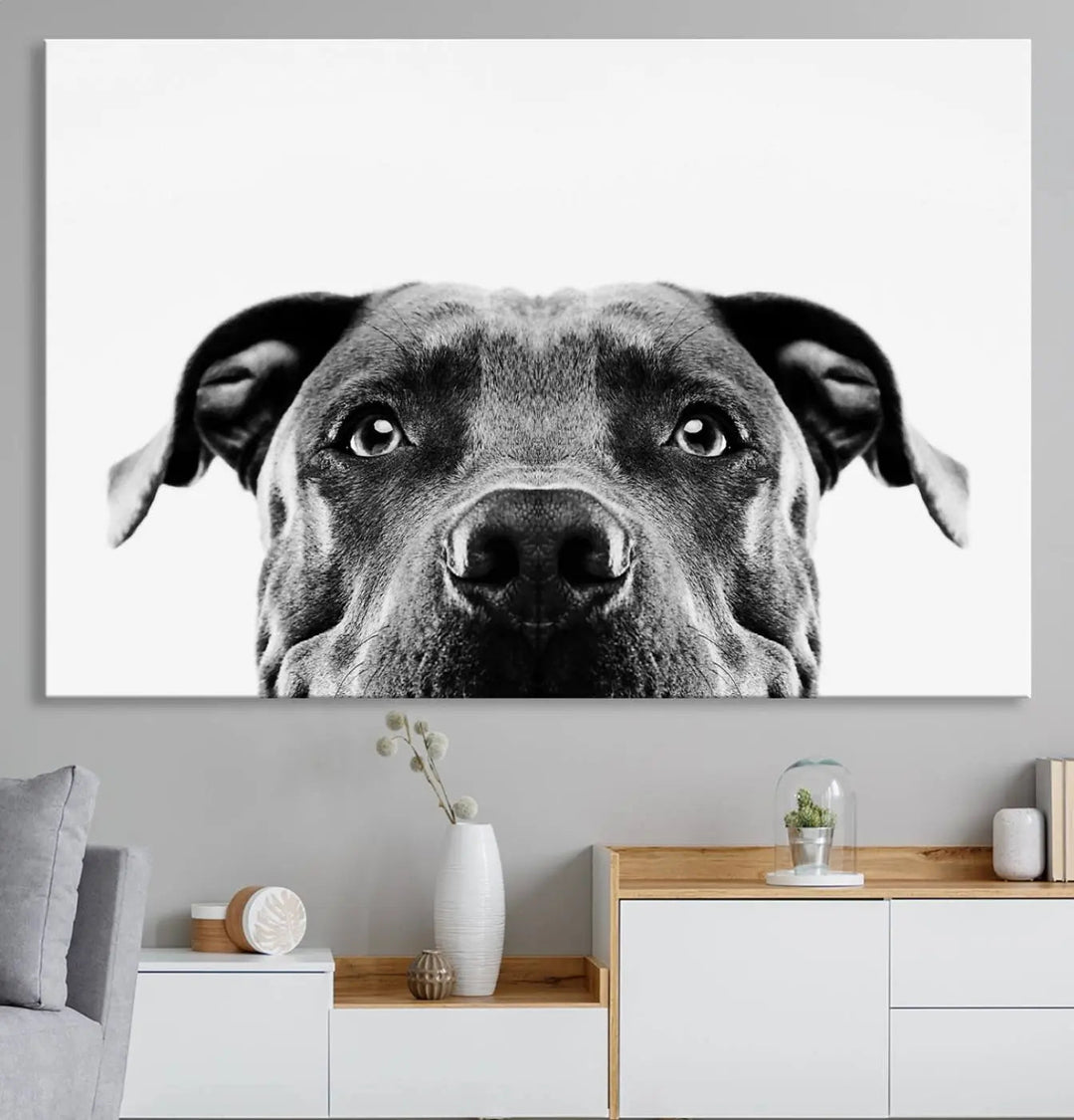 The "Black and White Pit Bull Dog Wall Art Canvas Print" elegantly adorns the living room, infusing character and charm into the contemporary setting. This captivating piece is perfect for dog lovers.