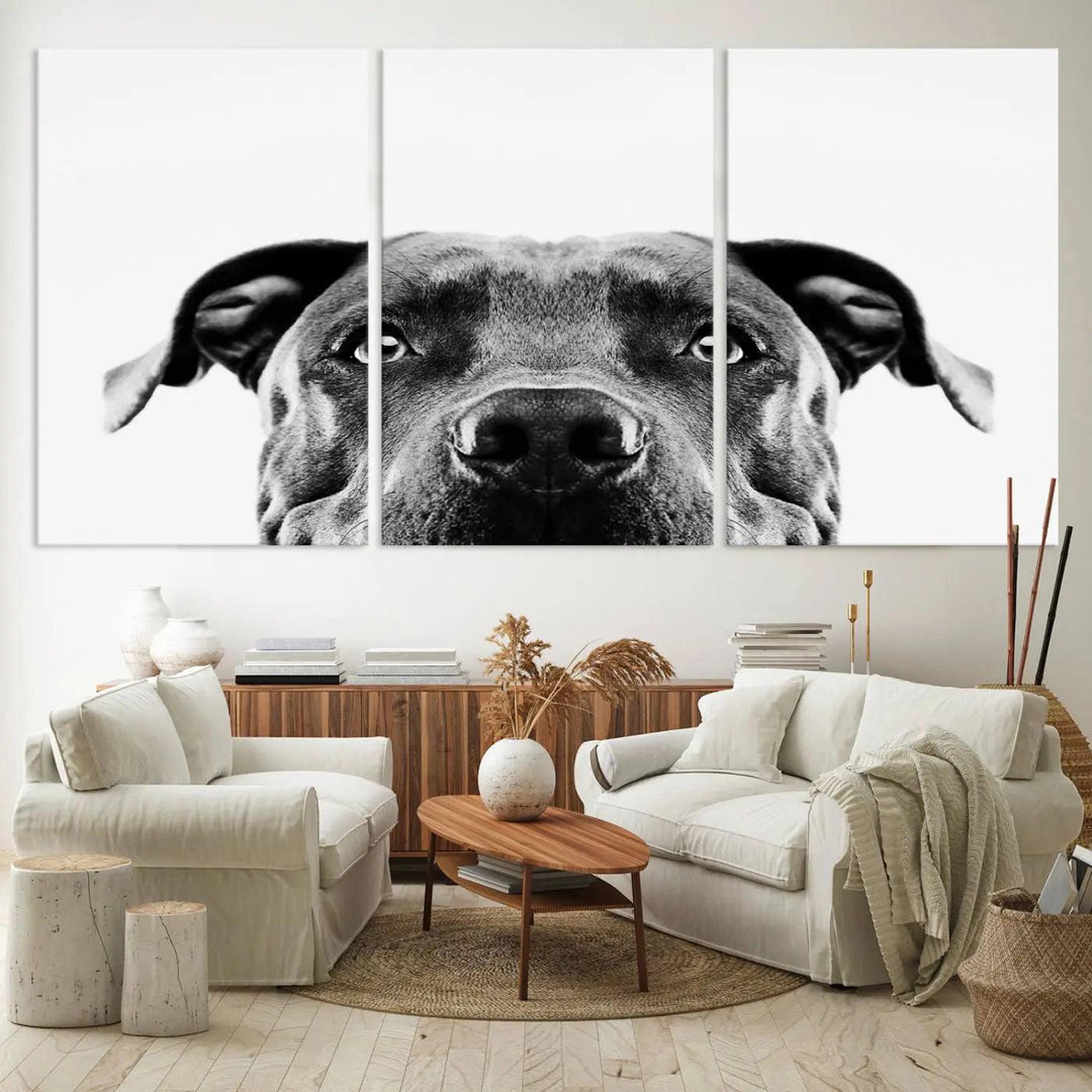 The "Black and White Pit Bull Dog Wall Art Canvas Print" elegantly adorns the living room, infusing character and charm into the contemporary setting. This captivating piece is perfect for dog lovers.