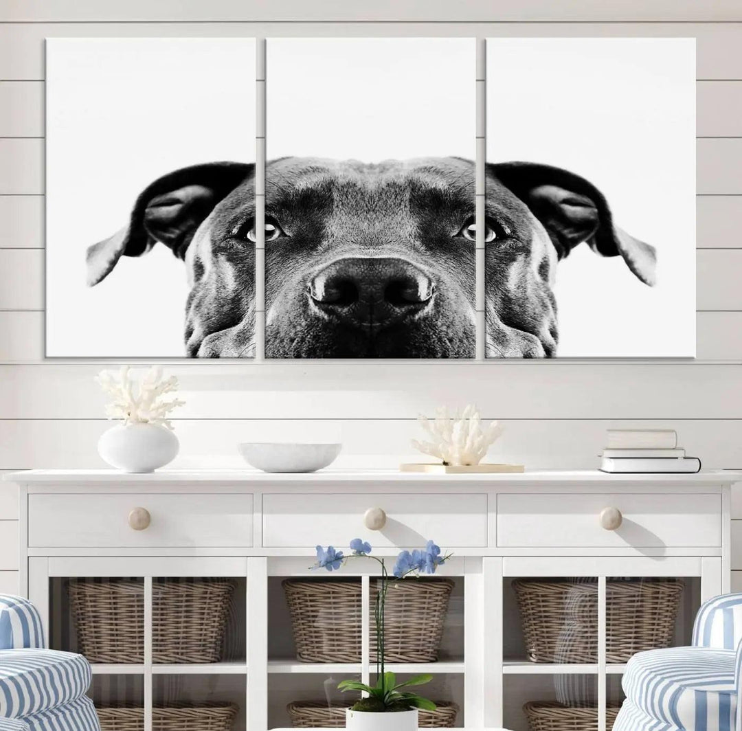 The "Black and White Pit Bull Dog Wall Art Canvas Print" elegantly adorns the living room, infusing character and charm into the contemporary setting. This captivating piece is perfect for dog lovers.