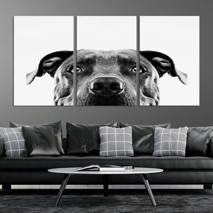 The "Black and White Pit Bull Dog Wall Art Canvas Print" elegantly adorns the living room, infusing character and charm into the contemporary setting. This captivating piece is perfect for dog lovers.