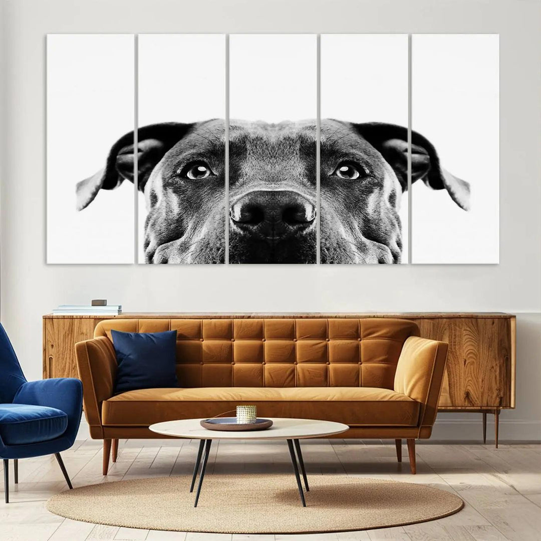 The "Black and White Pit Bull Dog Wall Art Canvas Print" elegantly adorns the living room, infusing character and charm into the contemporary setting. This captivating piece is perfect for dog lovers.