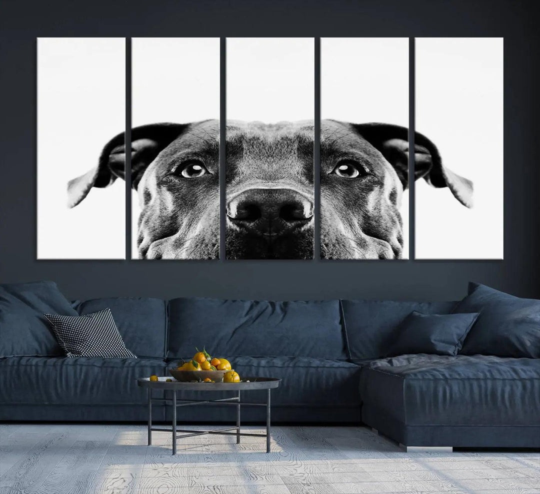 The "Black and White Pit Bull Dog Wall Art Canvas Print" elegantly adorns the living room, infusing character and charm into the contemporary setting. This captivating piece is perfect for dog lovers.