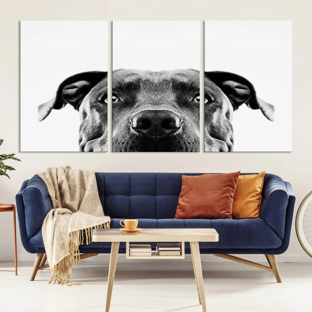 The "Black and White Pit Bull Dog Wall Art Canvas Print" elegantly adorns the living room, infusing character and charm into the contemporary setting. This captivating piece is perfect for dog lovers.