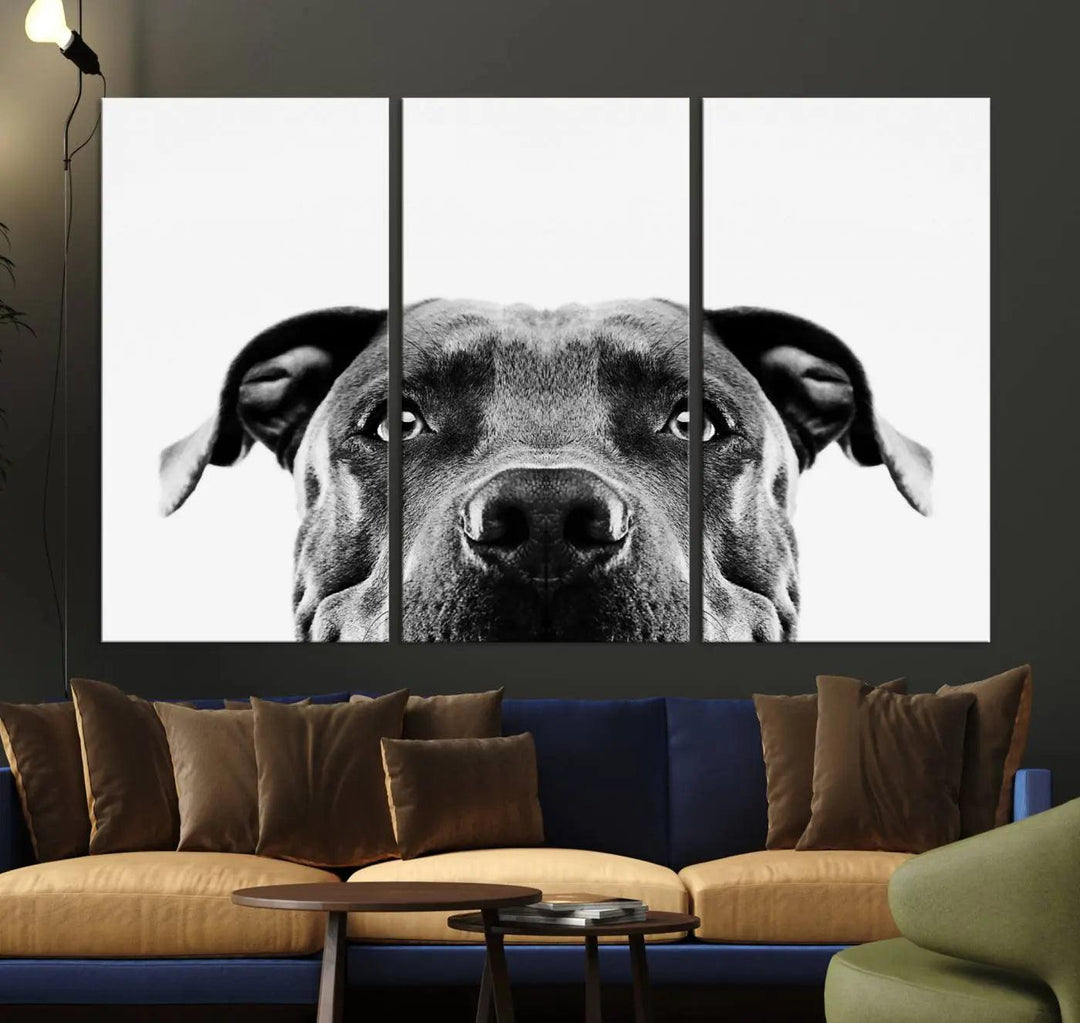 The "Black and White Pit Bull Dog Wall Art Canvas Print" elegantly adorns the living room, infusing character and charm into the contemporary setting. This captivating piece is perfect for dog lovers.