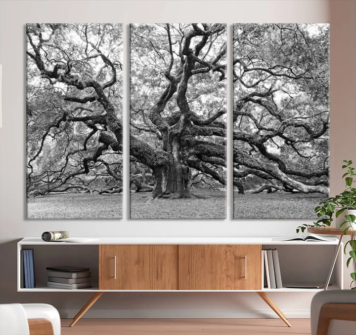 The timeless nature-inspired Black White Angel Oak Tree Wall Art beautifully adorns a modern living room as a triptych. Creating a harmonious blend of style and serenity, this piece elegantly infuses the space with its striking imagery.