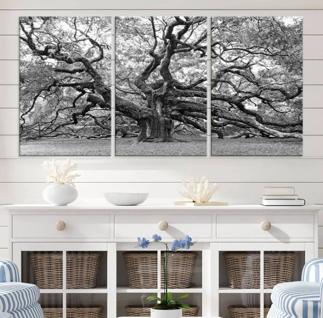 The timeless nature-inspired Black White Angel Oak Tree Wall Art beautifully adorns a modern living room as a triptych. Creating a harmonious blend of style and serenity, this piece elegantly infuses the space with its striking imagery.