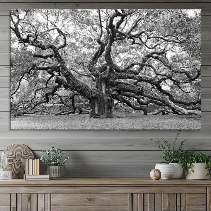 The timeless nature-inspired Black White Angel Oak Tree Wall Art beautifully adorns a modern living room as a triptych. Creating a harmonious blend of style and serenity, this piece elegantly infuses the space with its striking imagery.